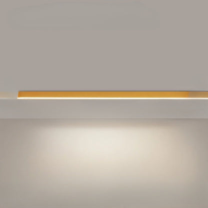 Stylish LED Ceiling Light