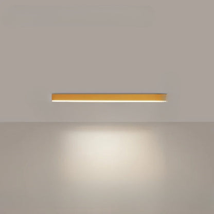 Stylish LED Ceiling Light