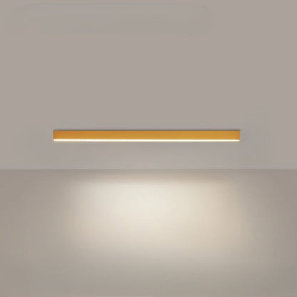 Ceiling Light for Balcony Lighting in Modern Style