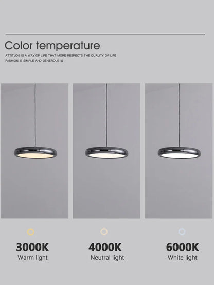 Elegant Aluminum Pendant Lamp