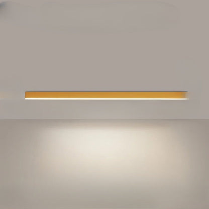 Stylish LED Ceiling Light