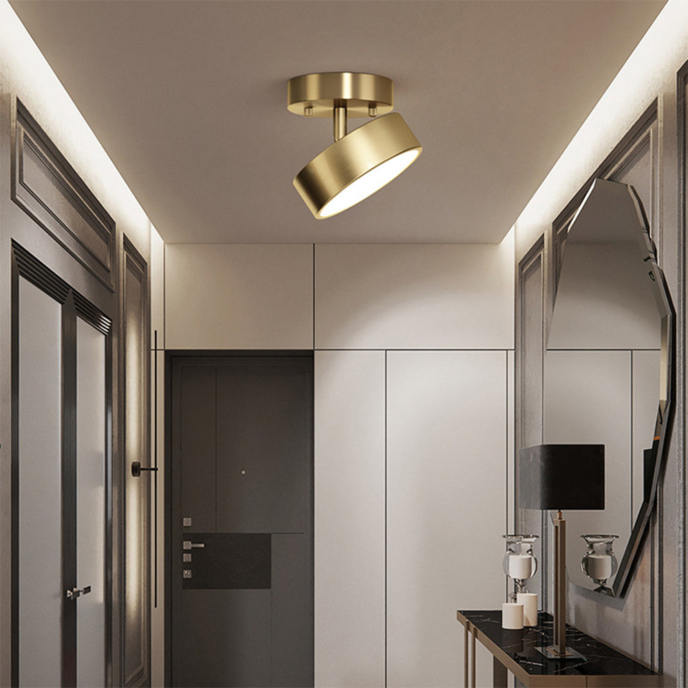 Adjustable LED Ceiling Light