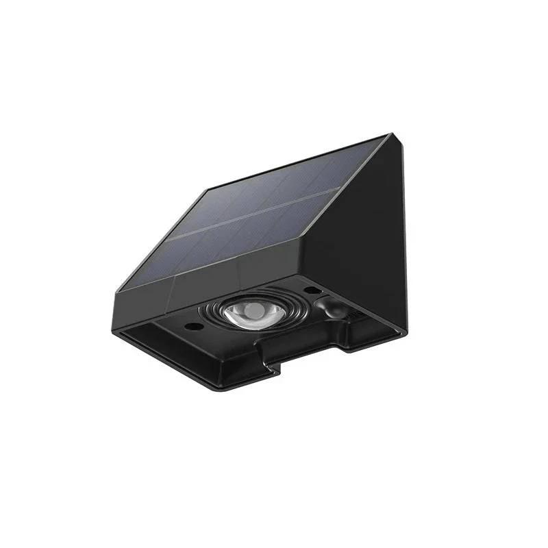 Contemporary Solar Pathway Light
