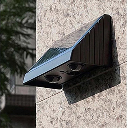 Contemporary Solar Pathway Light