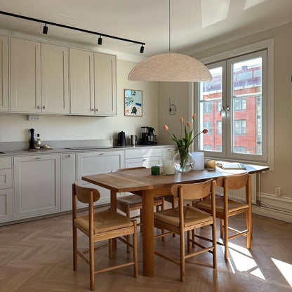 Modern Pendant Lamp with LED