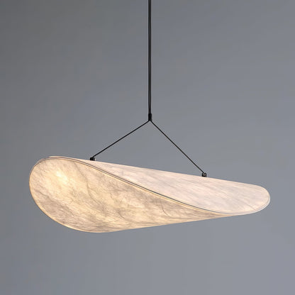 Modern Pendant Lamp with LED