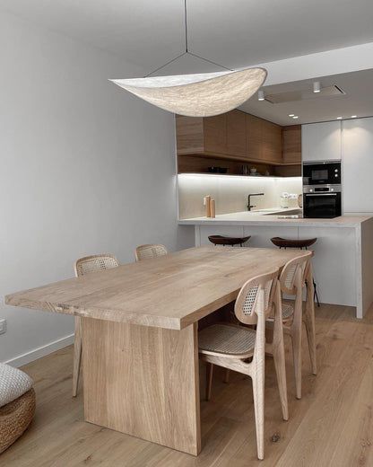 Modern Pendant Lamp with LED