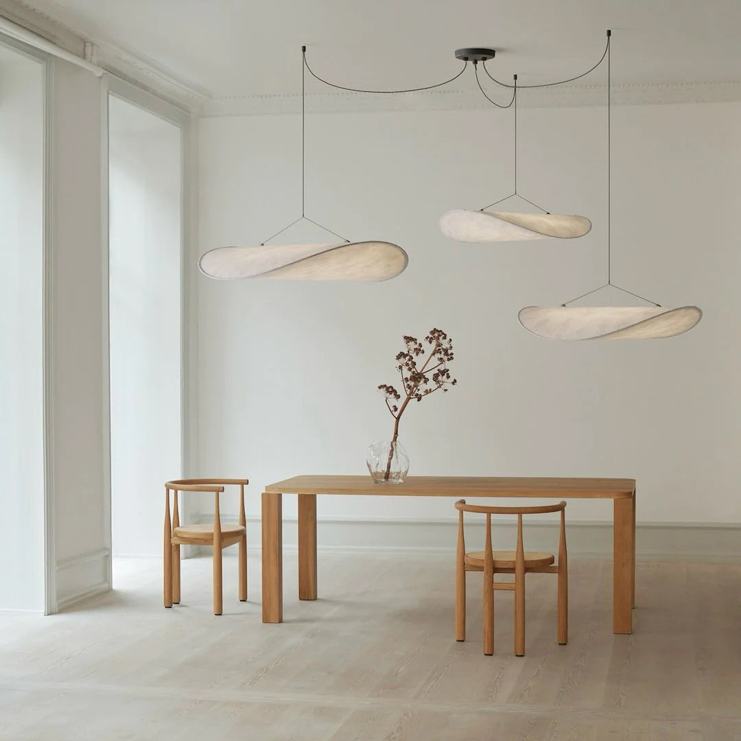 Modern Pendant Lamp with LED
