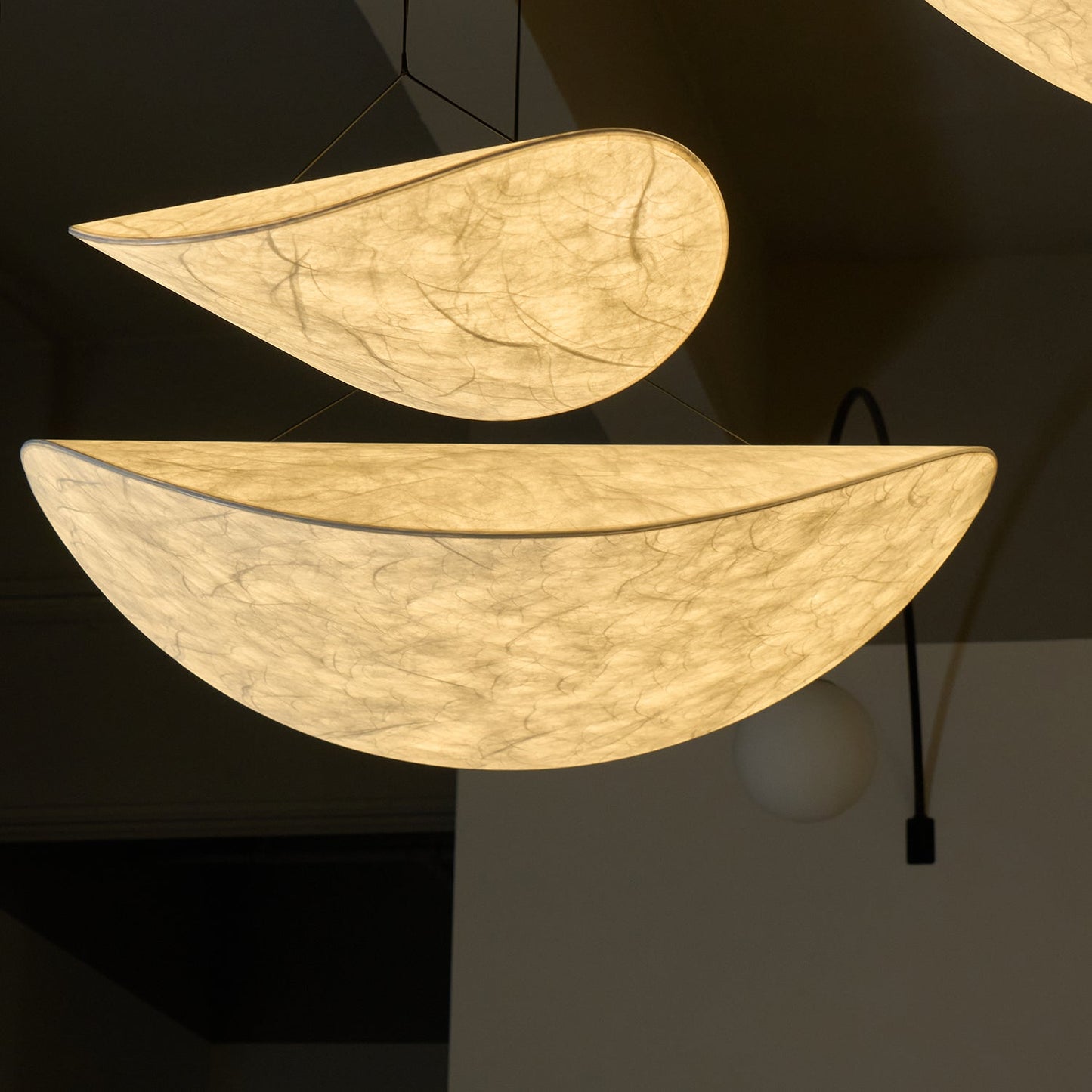 Modern Pendant Lamp with LED