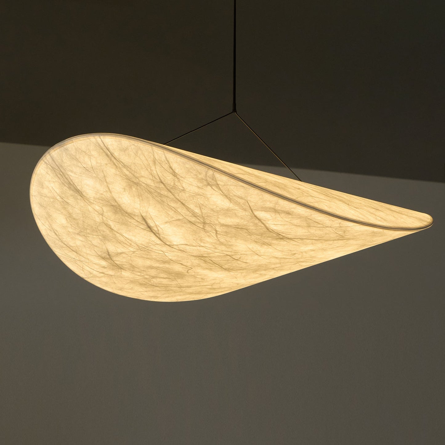 Modern Pendant Lamp with LED
