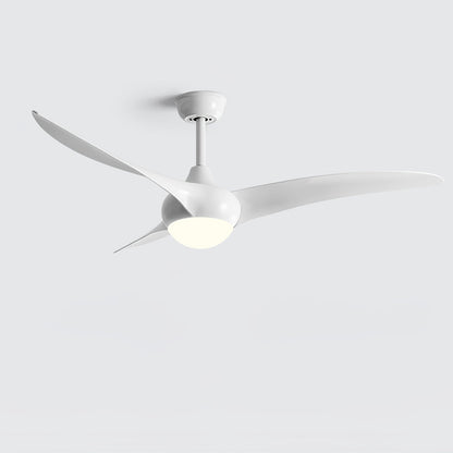 Traditional LED Ceiling Fan Light