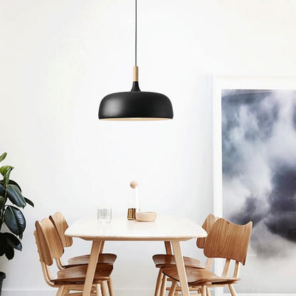 Vibrant Dome Pendant Light