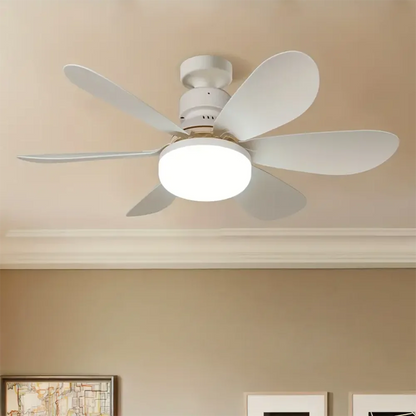 Purry Socket Fan Light