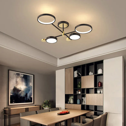 Contemporary Ringed Ceiling Light