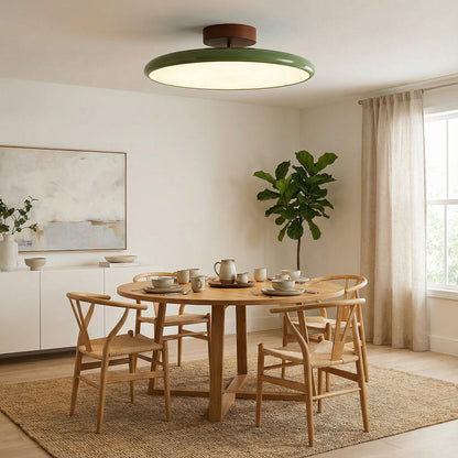 Adjustable Modern Ceiling Light