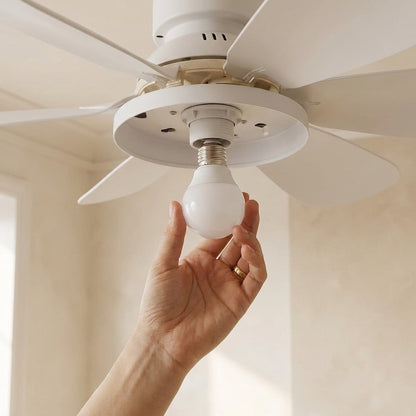 Purry Socket Fan Light