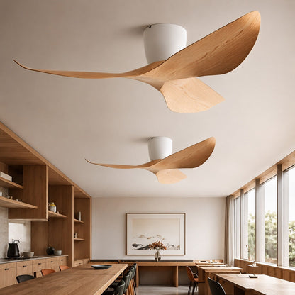 Sculpted Wing Ceiling Fan
