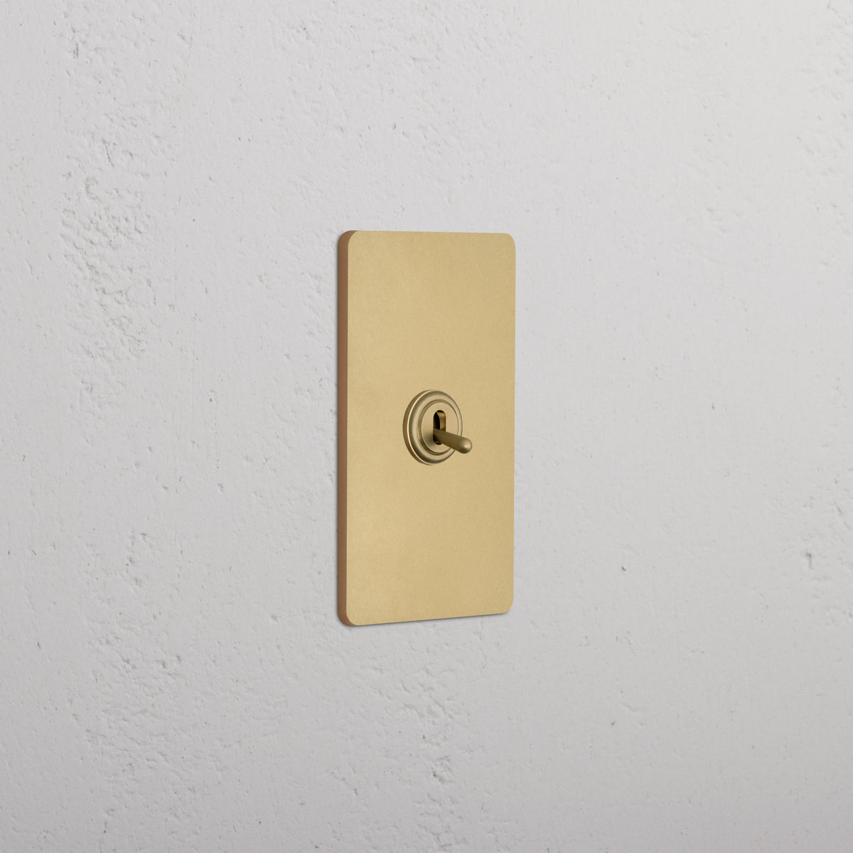 Tavrelo Minimalist Brass Double Pole Toggle Switch