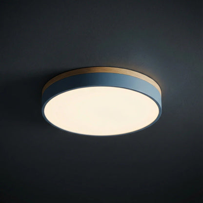 Dimmable Wood Panel Ceiling Light