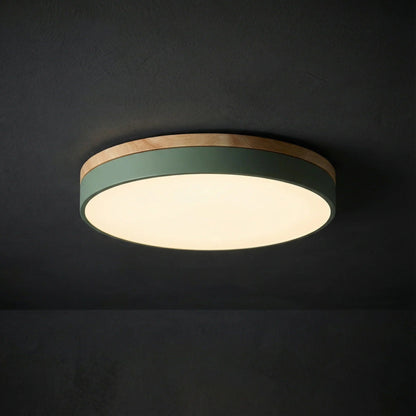 Dimmable Wood Panel Ceiling Light