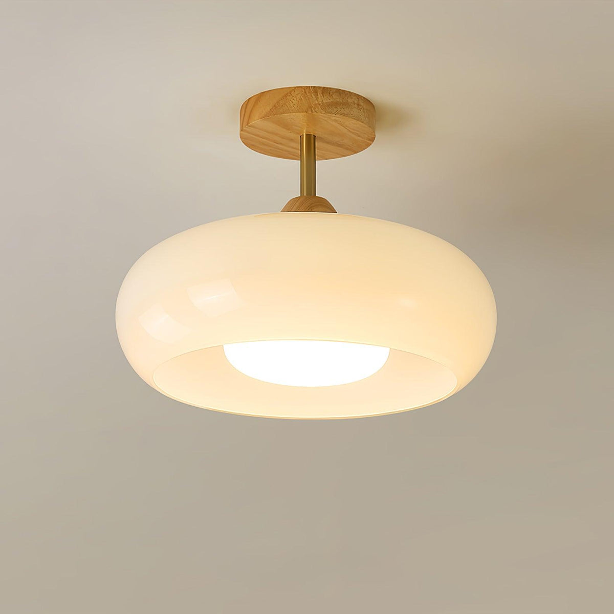Oval Glass Wood Ceiling Light