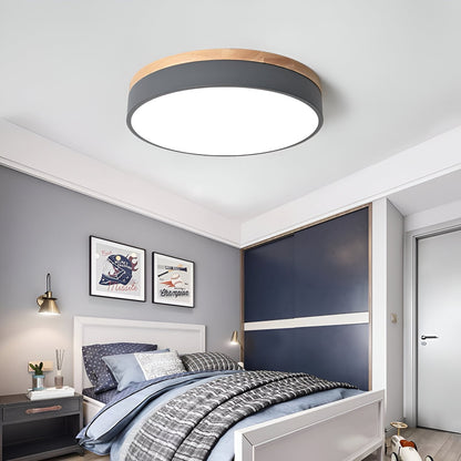 Calluvia Nordic Acrylic Flush Ceiling Light