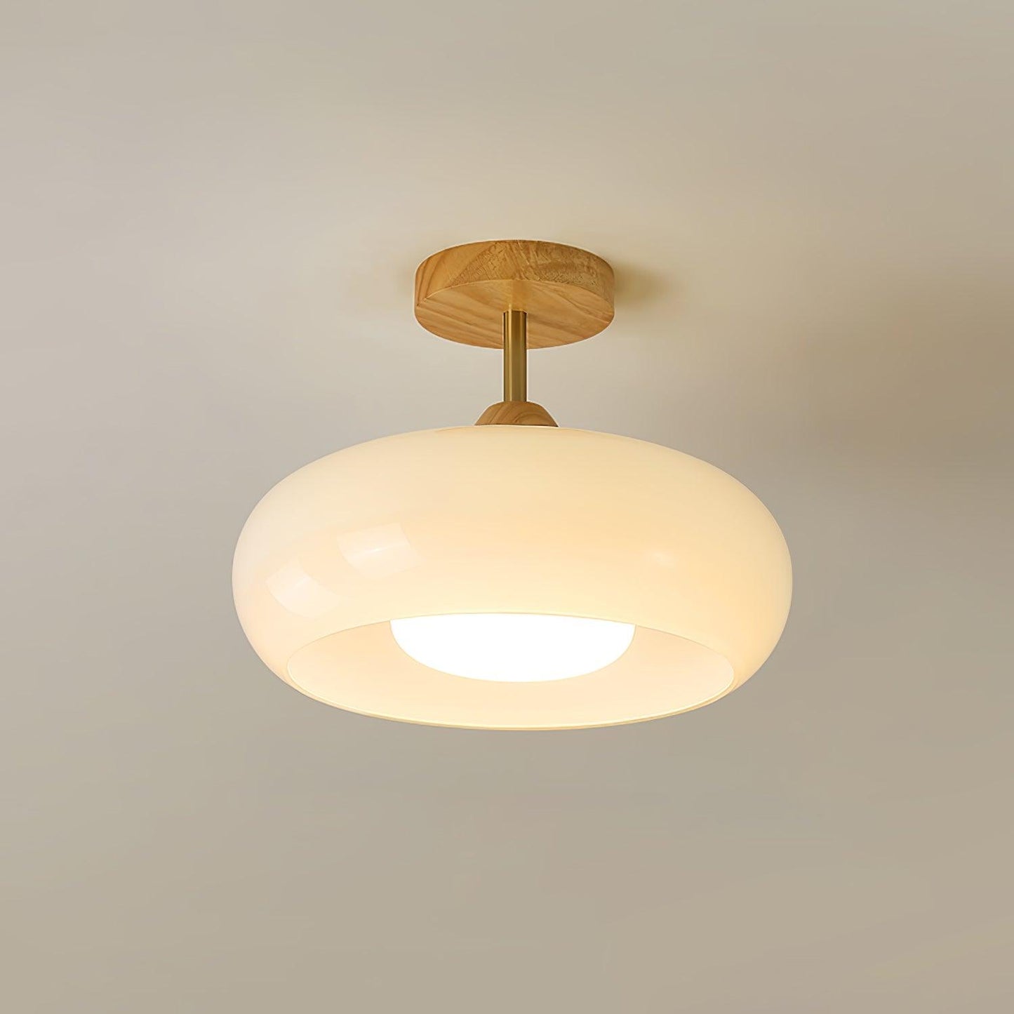 Oval Glass Wood Ceiling Light