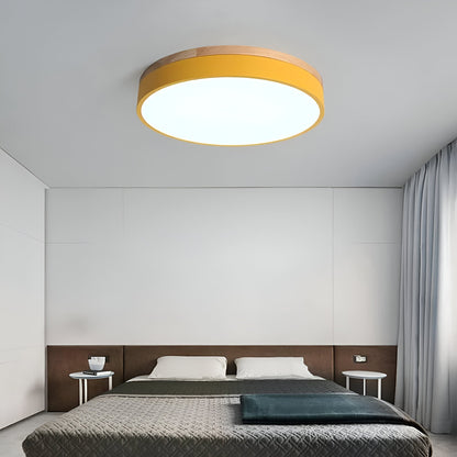 Calluvia Nordic Acrylic Flush Ceiling Light
