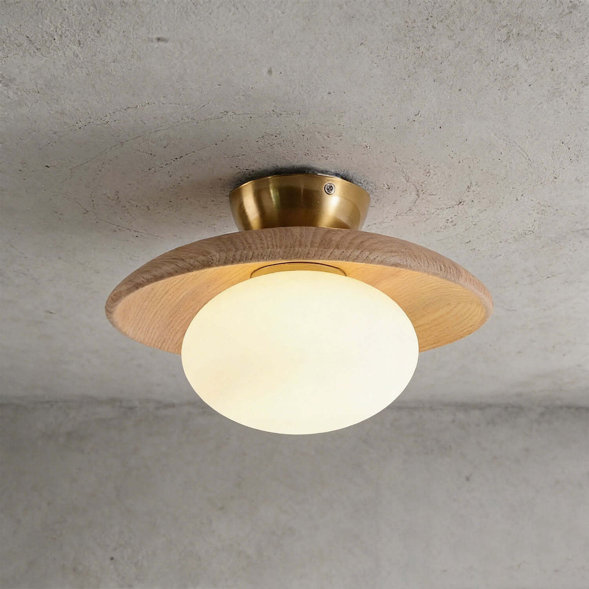 Wood Disc Opal Ceiling Light