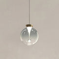 Tinted Glass Globe Pendant Light