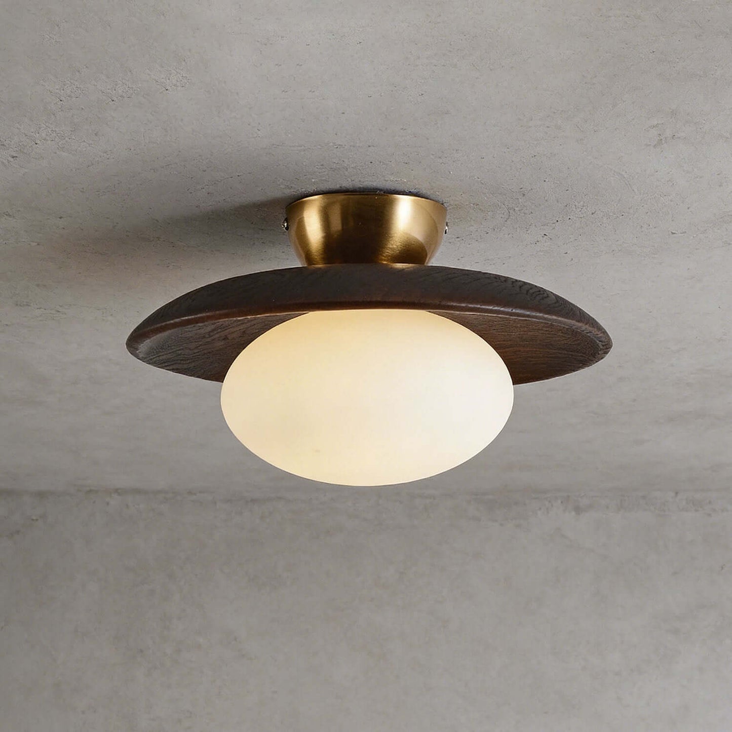 Wood Disc Opal Ceiling Light