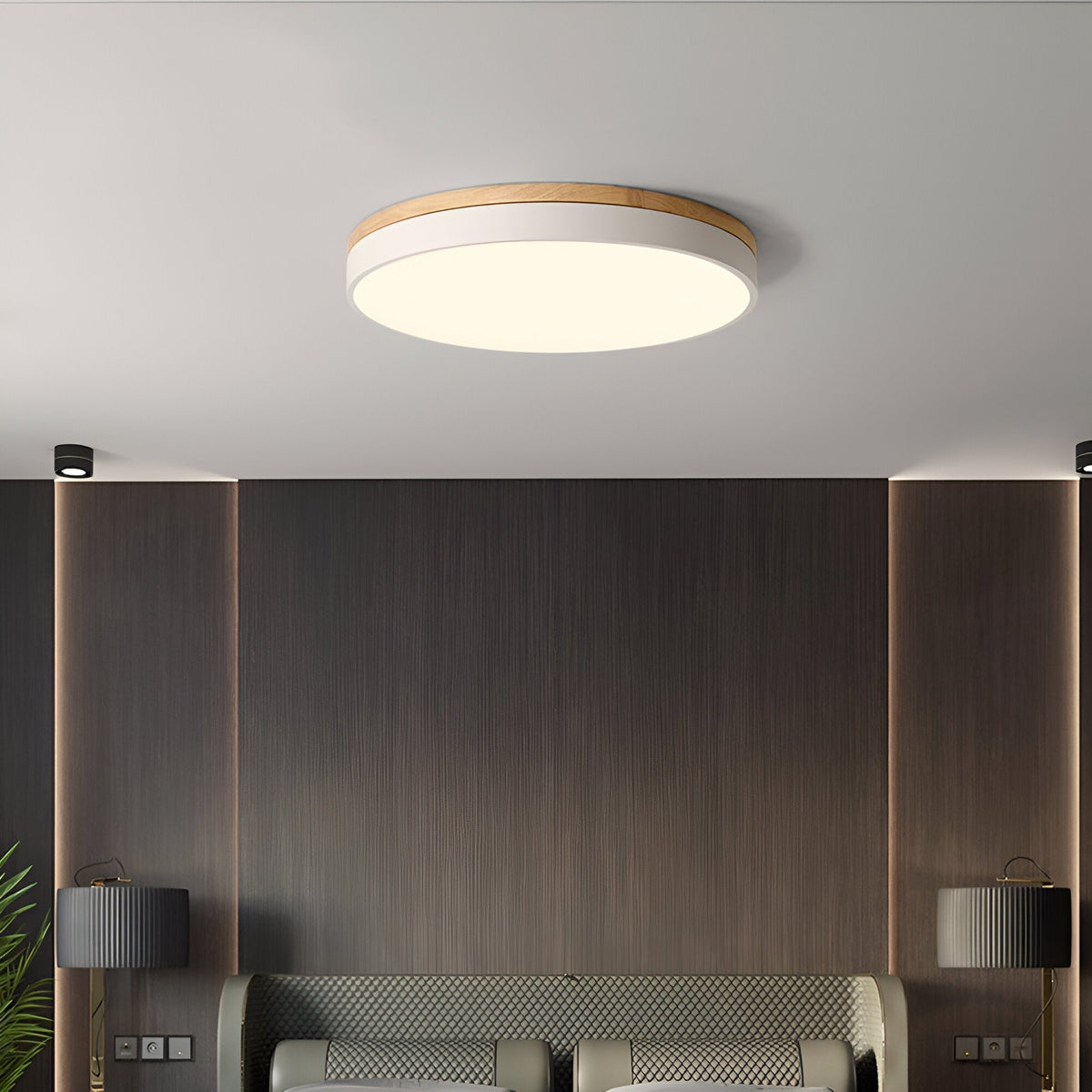Calluvia Nordic Acrylic Flush Ceiling Light