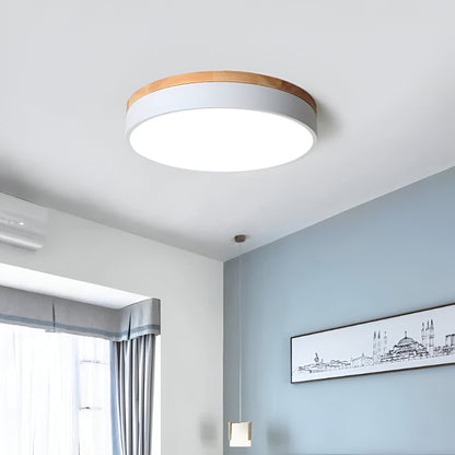 Calluvia Nordic Acrylic Flush Ceiling Light