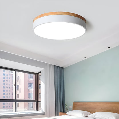 Calluvia Nordic Acrylic Flush Ceiling Light