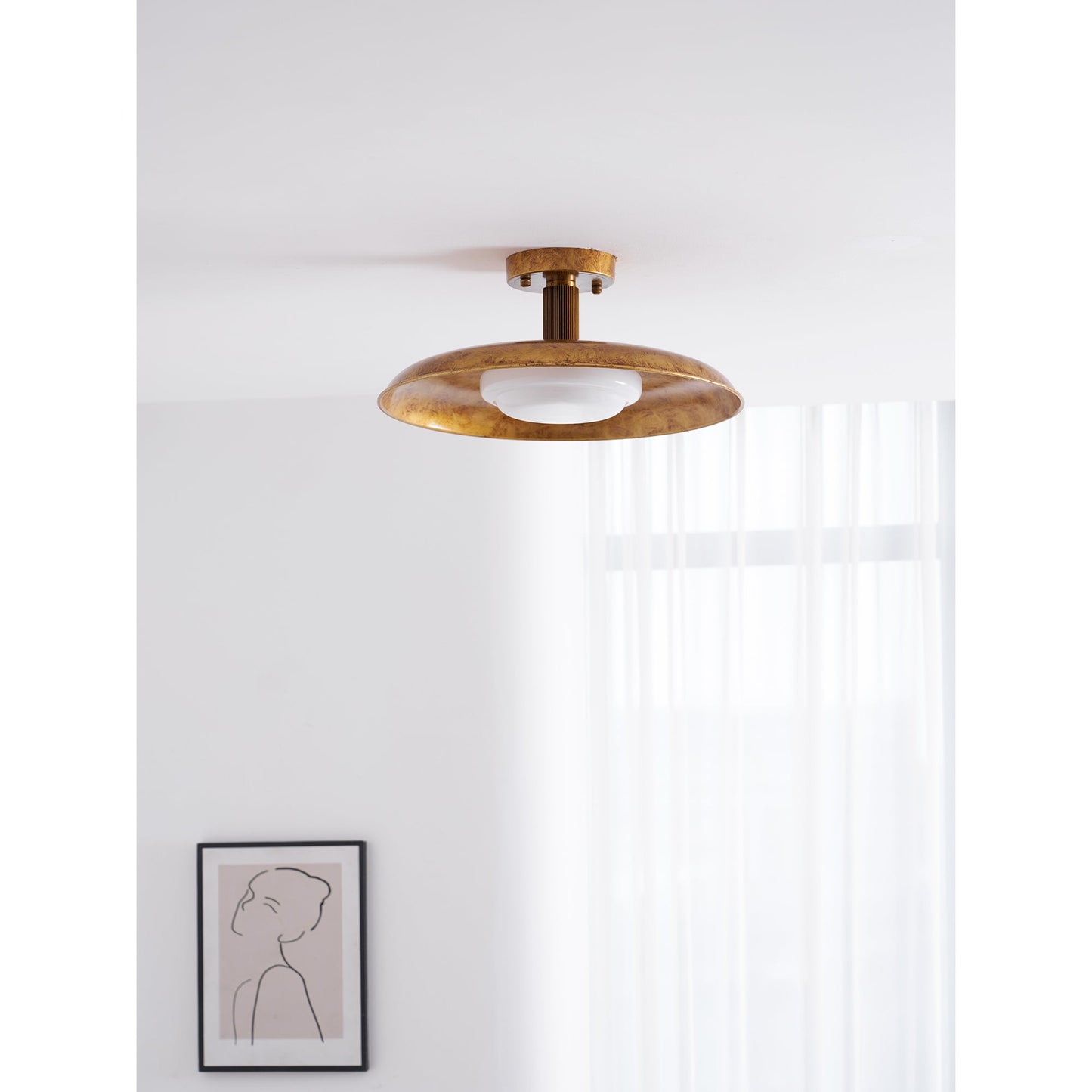 Wide Disc Flush Ceiling Light