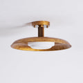 Wide Disc Flush Ceiling Light
