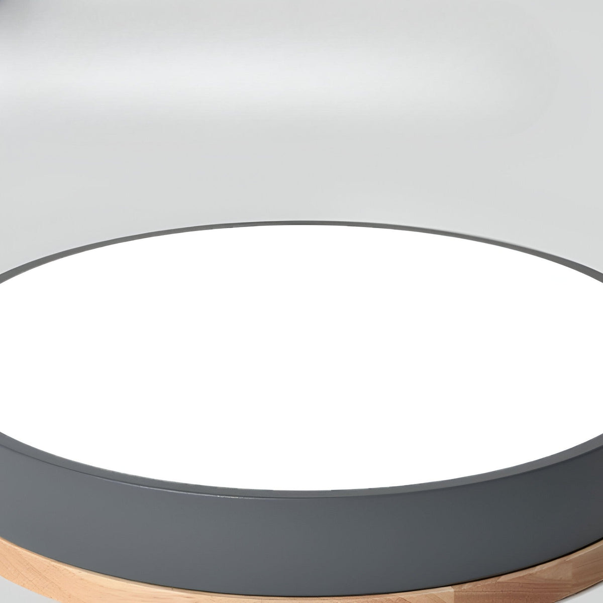 Calluvia Nordic Acrylic Flush Ceiling Light