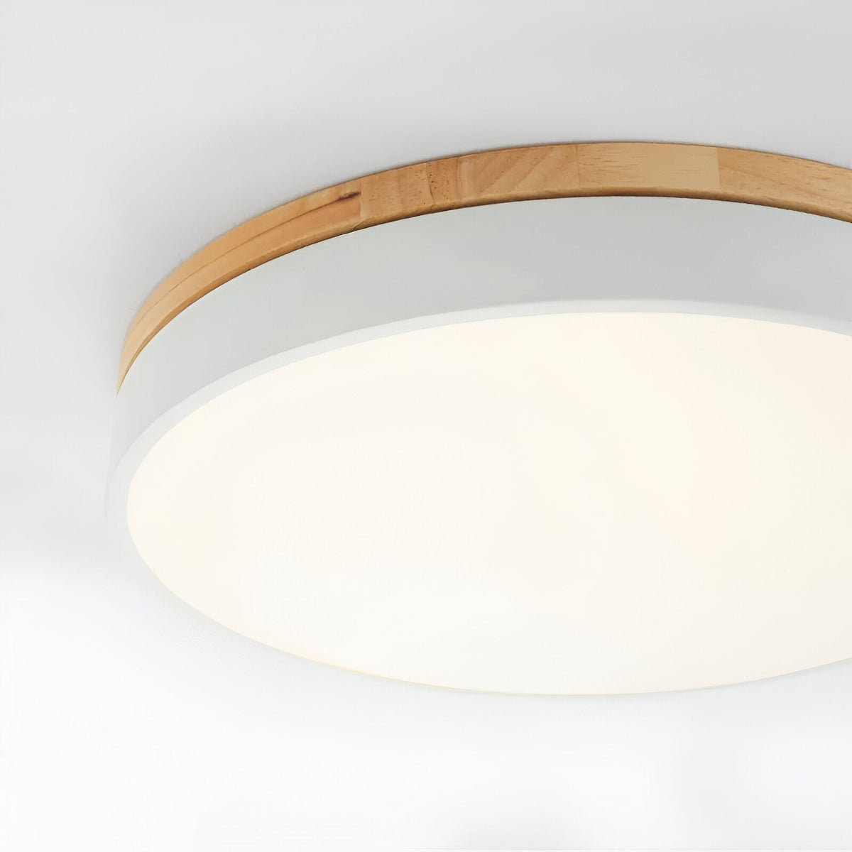 Calluvia Nordic Acrylic Flush Ceiling Light