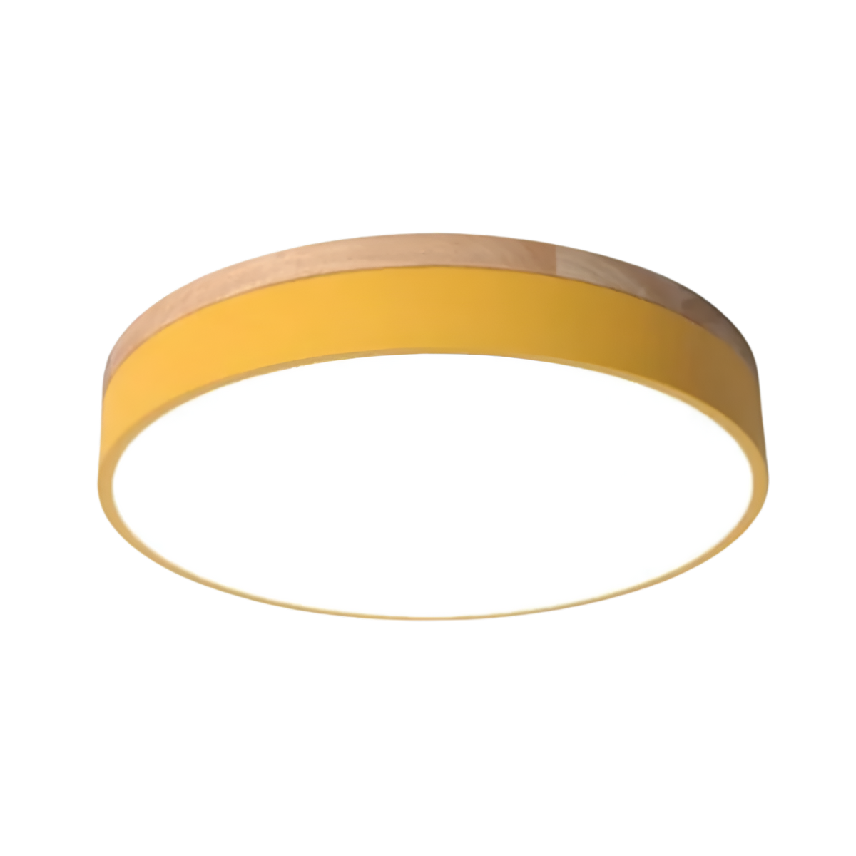 Calluvia Nordic Acrylic Flush Ceiling Light