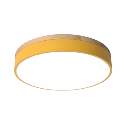 Calluvia Nordic Acrylic Flush Ceiling Light