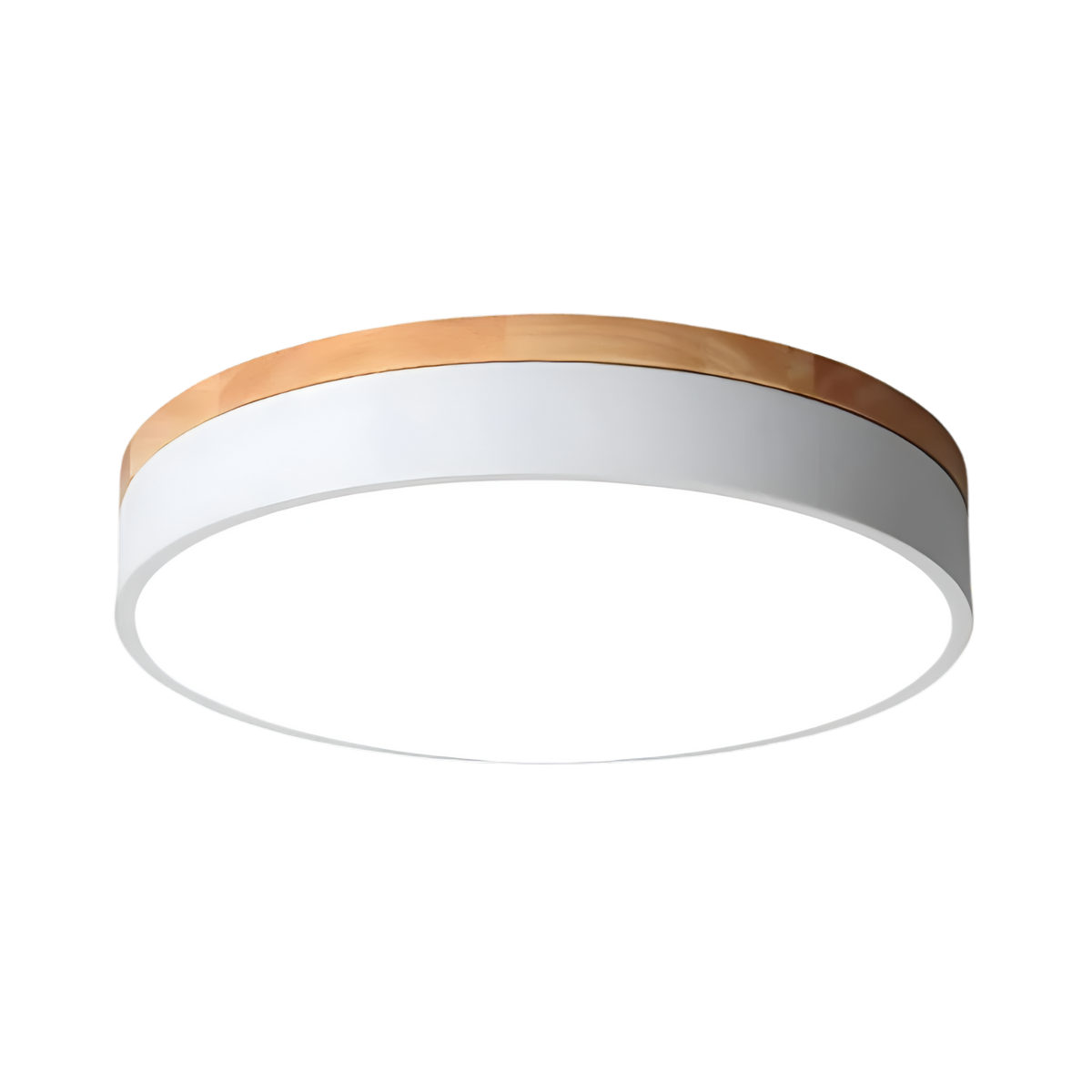 Calluvia Nordic Acrylic Flush Ceiling Light