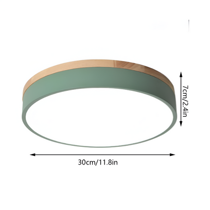 Calluvia Nordic Acrylic Flush Ceiling Light