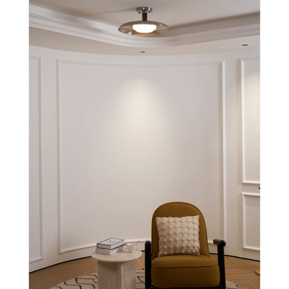 Wide Disc Flush Ceiling Light