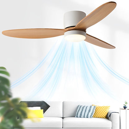 Modern Low Profile LED Ceiling Fan Light