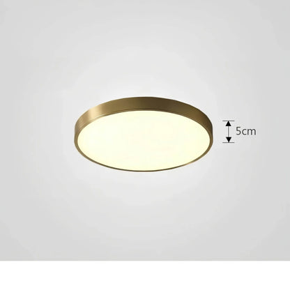 Modern ceiling light with glossy finish