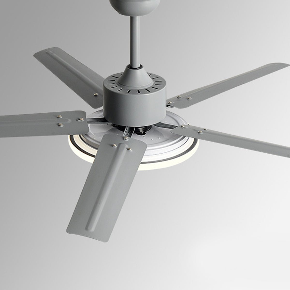 Modern 5-Blade LED Ceiling Fan Light