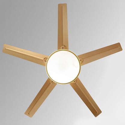 Modern 5-Blade LED Ceiling Fan Light